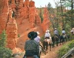 Horse Rides – Red Canyon Trail Rides