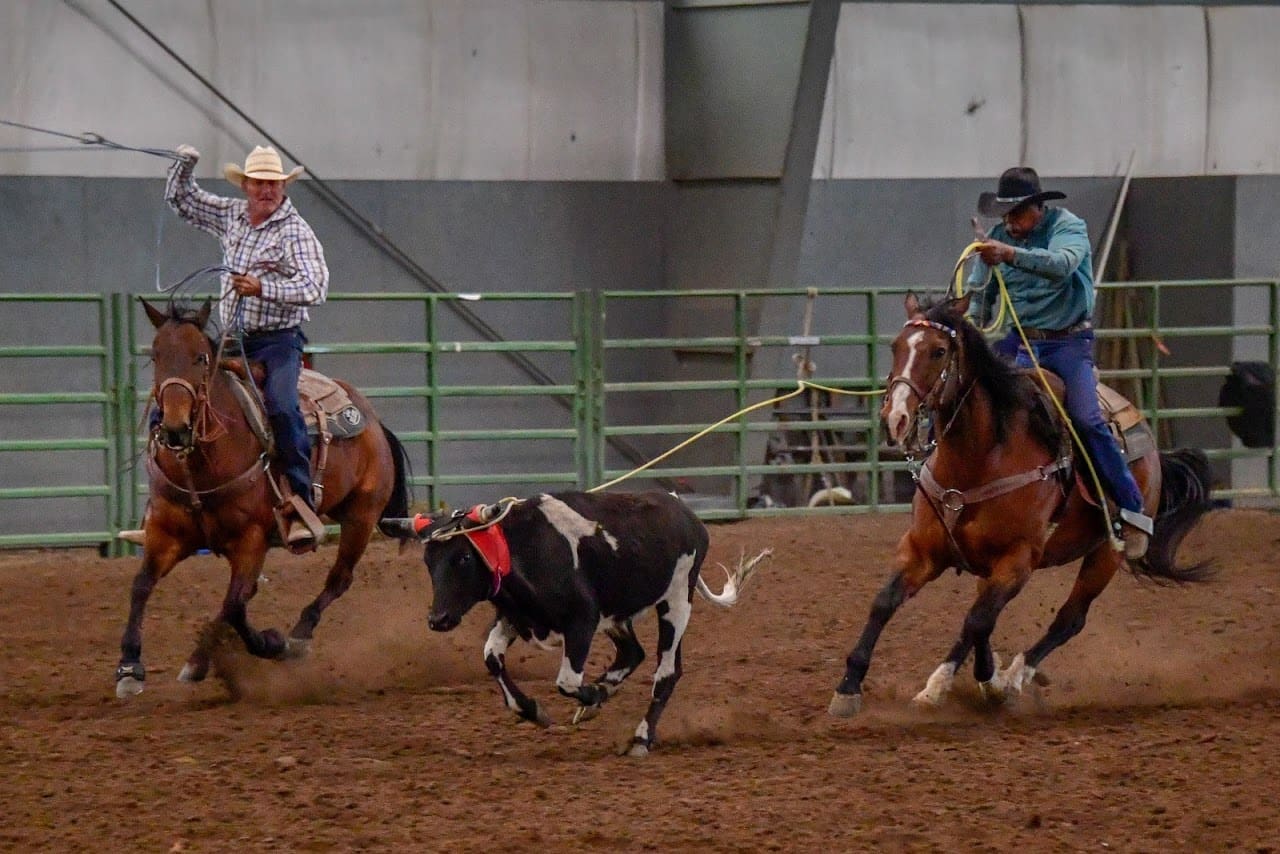 Roping Practice